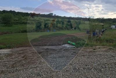 Teren Construcții intravilan de 1200 mp, în Săldăbagiu de Munte - 23