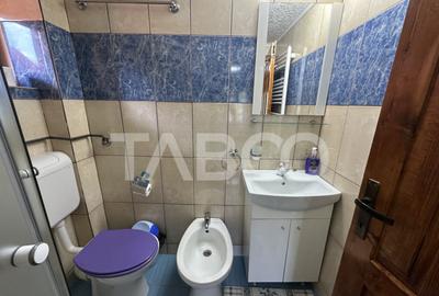 Cabana spatioasa la 5 km de Partia Sureanu complet utilata - 14