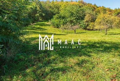 Teren agricol intravilan de 2439 mp, în Fântânele - 4