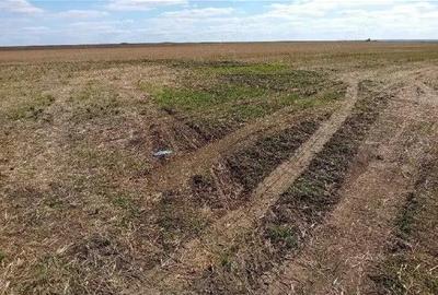 Teren extravilan cota parte 1/2 Alexandria, ID: R2814838 - 6