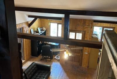 Casa-langa studiourile Buftea, 2 constructii, curte cu pomi, 2500mp, langa lac - 34