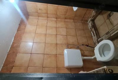 Inchiriez 2 camere la curte - 10