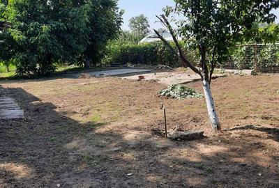 Spațiu comercial, în Amara - 1