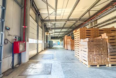 Celula frigorifica - Congelare & Refrigerare - Depozitare Marfa - Berceni - 4