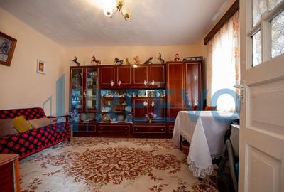 Casa si teren 3365mp Sascut - 8