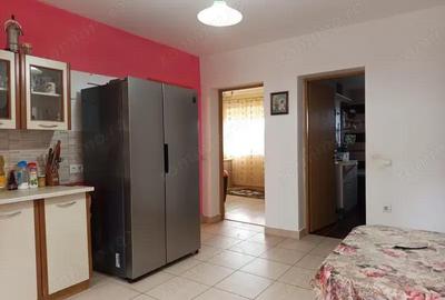Casă cu 6 camere în Mintia - 20