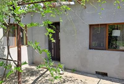 Casă cu 5 camere cu Teren 1375 Mp în Frumușani - 8