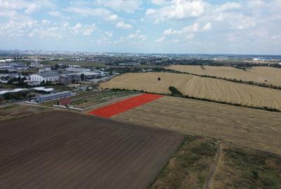 Teren Construcții intravilan de 5000 mp, în Sud