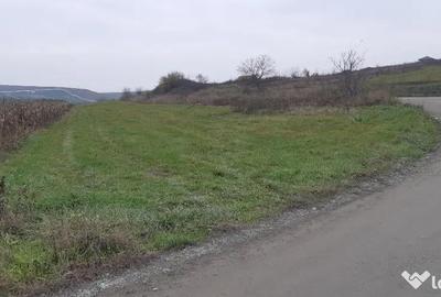 Teren de 8000 mp, în Sopor - 2