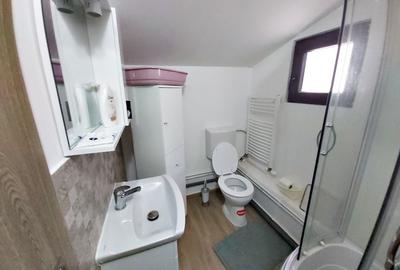 Casă individuală cu 18 camere cu Canalizare în Lipovei - 41