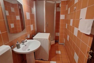 Piata Victoriei(Dr. Felix), apartament 2 camere, centrala proprie, bloc 1989 - 17