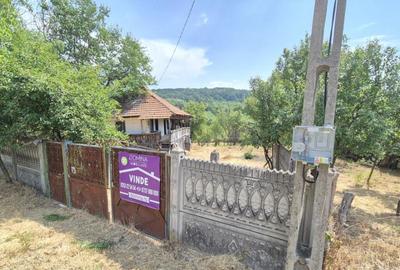 Proprietate in apropiere de complex turistic Mu?ete?ti - 2