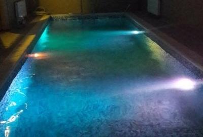 Mansion Luxuriant | Piscina Interioara | Teren tenis | 2500 mp gradina superba - 6