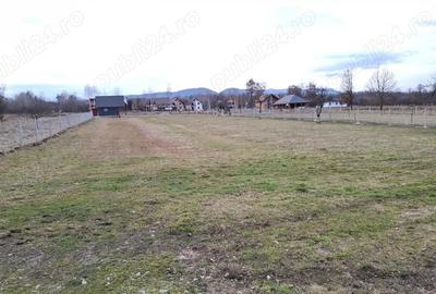 Teren de 1300 mp, în Ocna Șugatag - 2