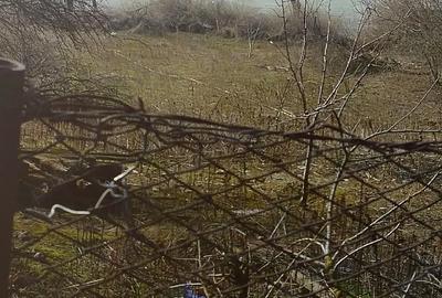 Casă cu 6 camere cu Teren 1600 Mp în Fântânele - 3