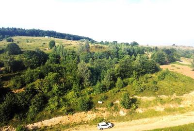 Teren de 1000 mp, în Sălicea - 3