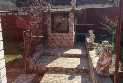 Casă cu 3 camere cu Teren 1100 Mp în Sarmizegetusa - 9