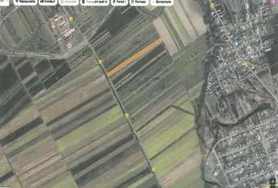 Teren extravilan Pietroasele, ID: R2586802 - 10