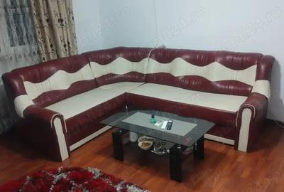 Apartament 2 camere Renovat - Complet MOBILAT si Utilat - Zona Independentii Biserica Noua - 2