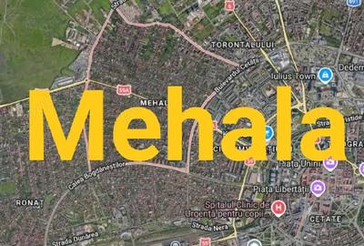 Casă cu 2 camere cu Teren 250 Mp în Mehala - 1