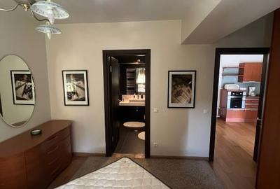 Apartament cu 2 camere semidecomandat, mobilat în Aviației - 11