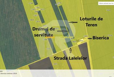 Domnesti teren intravilan - 1