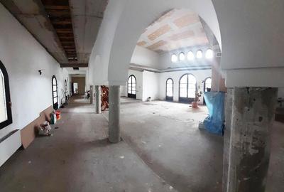 Domeniu  in Prahova- probabil una dintre cele mai frumoase reședințe - 30