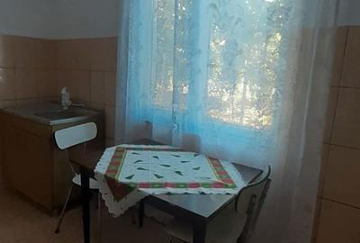 Casă cu 2 camere în Oituz - 1