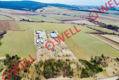 Ferma complet echipată de 22 de hectare de vânzare în Zoltan! - 2