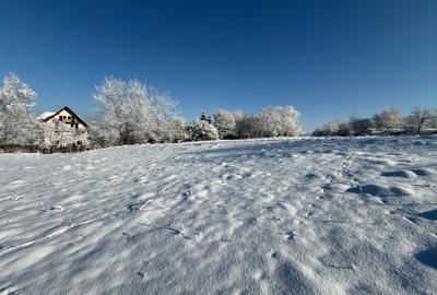 Teren intravilan 500 sau 1000 mp Bran-Tohanita la dum asfaltat - 25