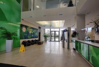 Floreasca Park - Spatii de birouri clasa A in zona Aurel Vlaicu - Promenada - 2