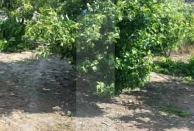 Blitz va ofera spre vanzare casa in Covasant - 13