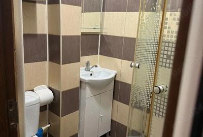 Garsonieră decomandată în Horia - 6