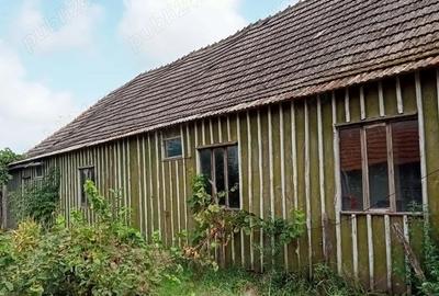 Casă cu 3 camere cu Teren 1417 Mp în Uivar - 3