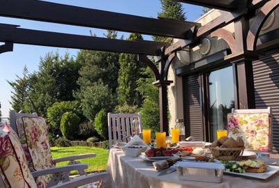 Triplex  Herastrau cu terasă și vedere panoramică - 13