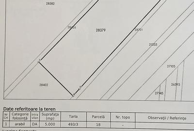 Teren de 5000 mp, în Dridu - 1