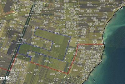 Teren de 500 mp, în Central