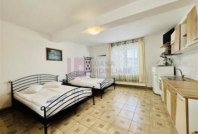 Afacere la cheie | Vila de 3 stele | Paltinis | amenajata complet - 9
