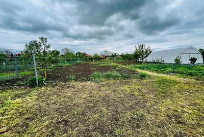 Casă cu 5 camere cu Canalizare în Liebling - 12