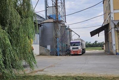 Gaminvest Fabrica de morarit de vanzare in Judetul Bihor, Romania V3234 - 5