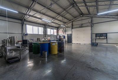 Spatiu industrial modern de vanzare - Fagaras - Comision 0% - 32