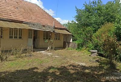 Teren de 2400 mp, în Dobrin - 7