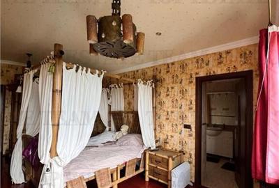 Vila deosebita 9 camere - Cornu de Jos - 16