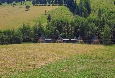 Proprietate de vanzare in Bucovina Breaza zona Paraul Negrei - 5