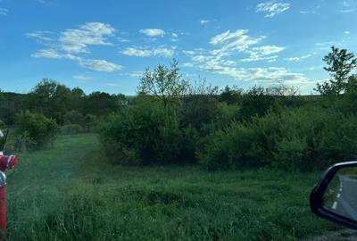 Teren constructii intravilan de 4700 mp, Baciu - Comision 0% - 4