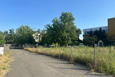 Teren  550 mp in Paradisul Verde cu Autorizatie de Construire vis a vis de SPA Teren  550 mp in Paradisul Verde cu Autorizatie de Construire vis a vis de SPA - 13