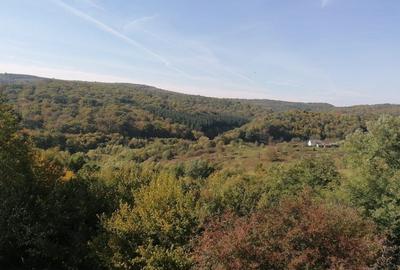 Teren de 3700 mp, în Exterior Vest - 2