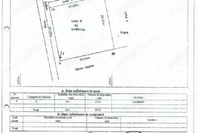 Teren de 901 mp, în Albota - 3