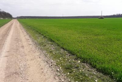Teren de 130000 mp, în Herneacova - 3
