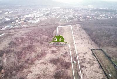 Teren de 3350 mp, în Bujoreni - 7